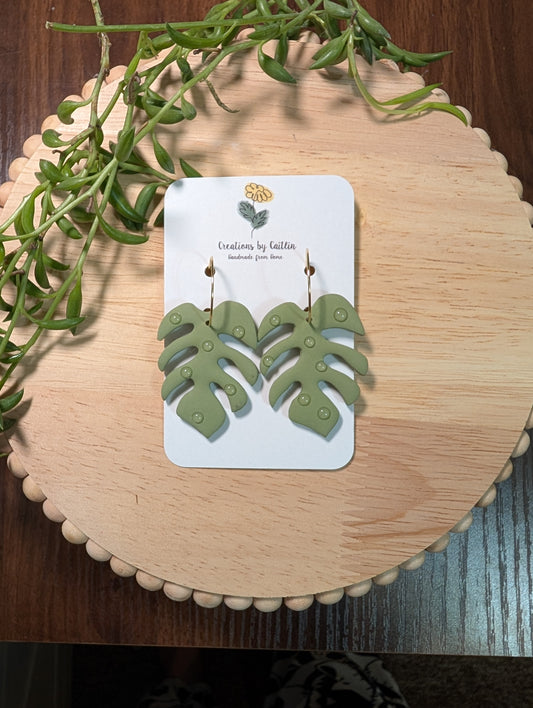 Monstera Dangles with Raindrops